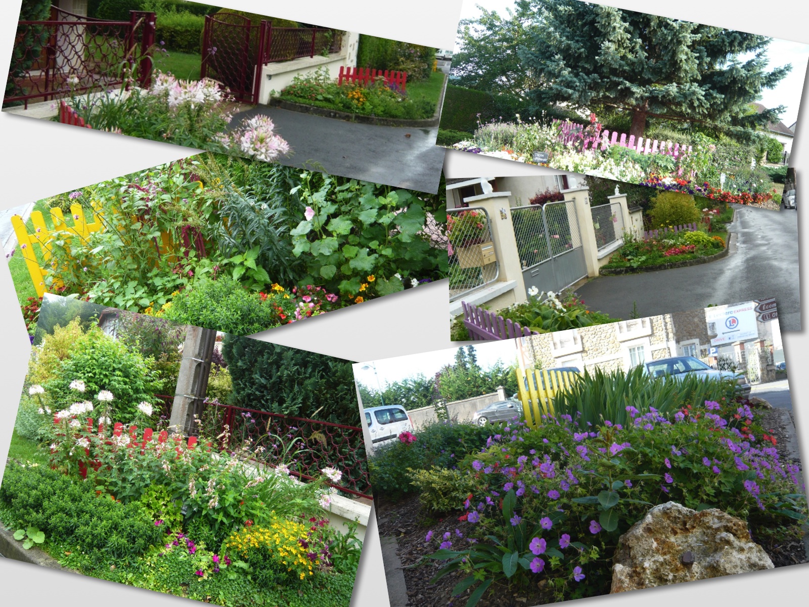 Barrières dans les fleurs à Dormans