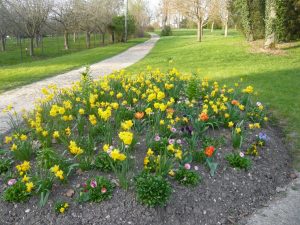 fleurissement au parc du château de Dormans