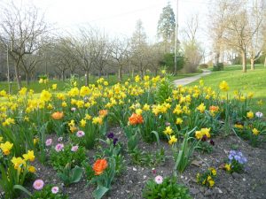 fleurissement au parc du château de Dormans