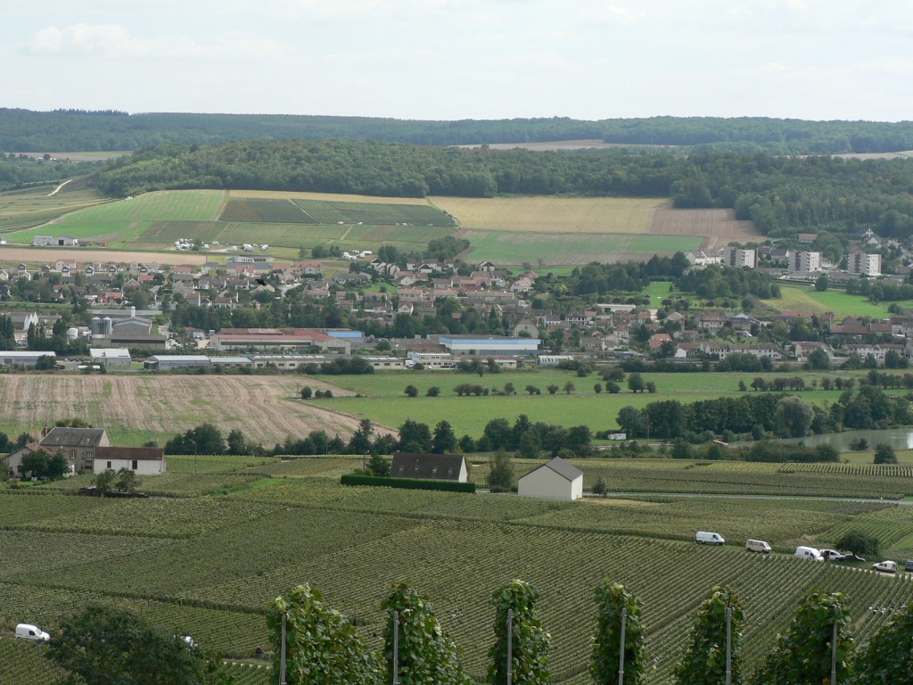 Le vignoble champenois à Dormans