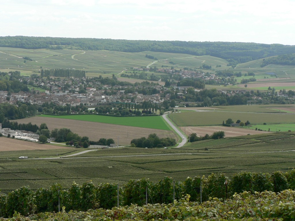 Le vignoble champenois de Dormans à Chavenay