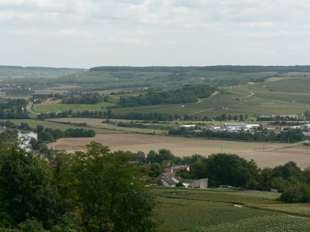 Le vignoble champenois à Dormans entre le hameau de Try et Dormans