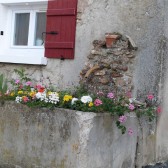 Le fleurissement des hameaux de Dormans, été 2014