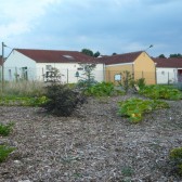 Le jardin de l’école maternelle