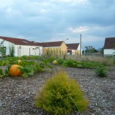 Le jardin de l’école maternelle