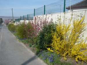 fleurissement route de Chavenay