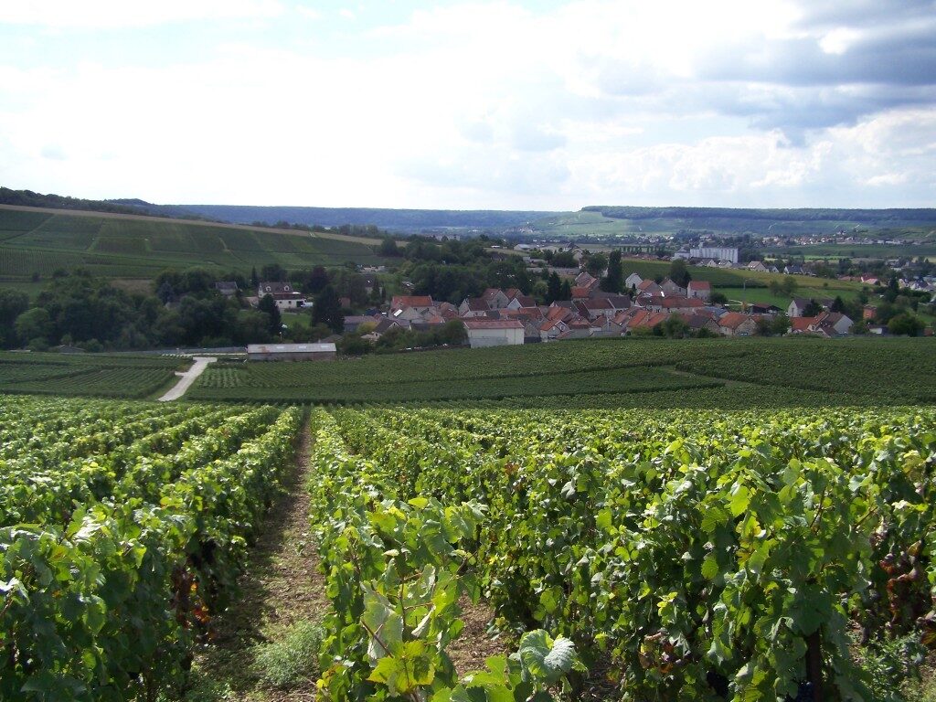 Le vignoble de Dormans à Vassieux