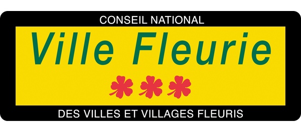 Résultat de recherche d'images pour "ville fleurie"