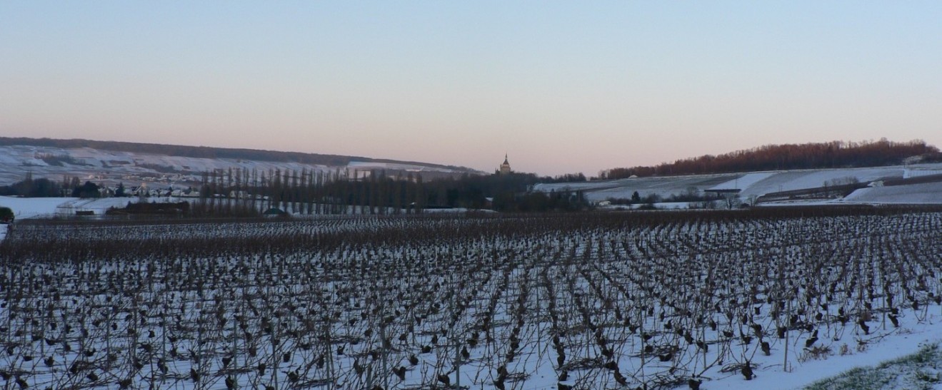 Paysage d’hiver à  Dormans