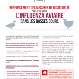 thumbnail of Mesures de biosécurité