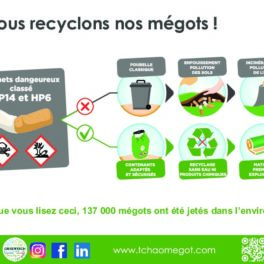 thumbnail of Affiche n°7 – incinération vs recyclage horizontale
